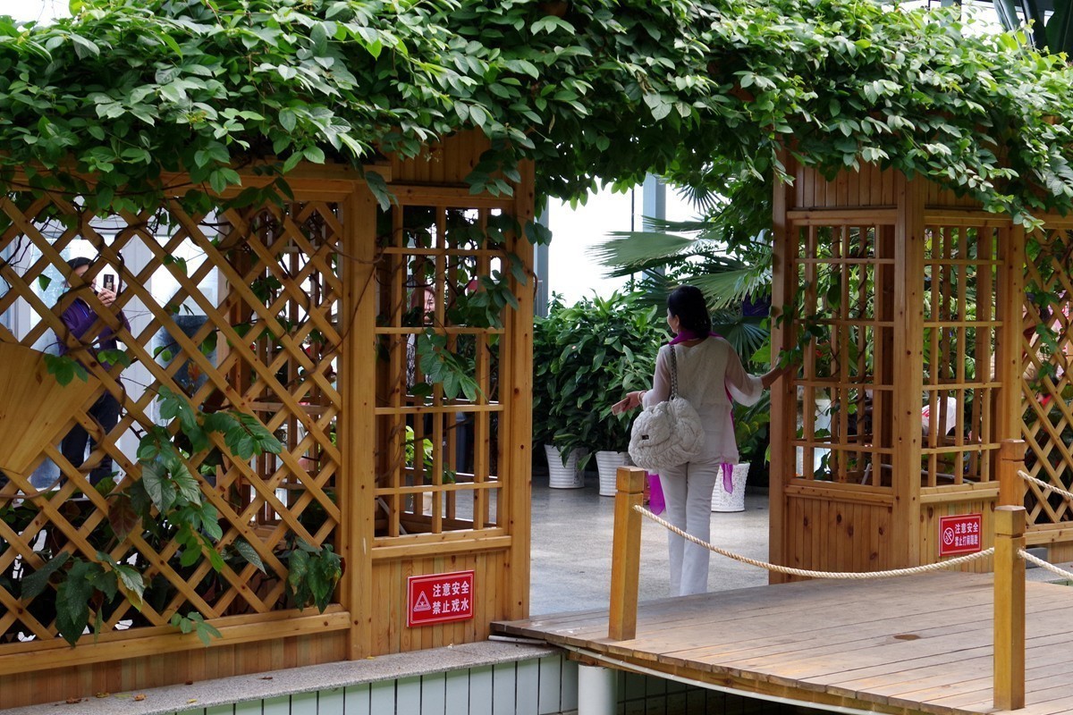 宾得16-85植物园试拍