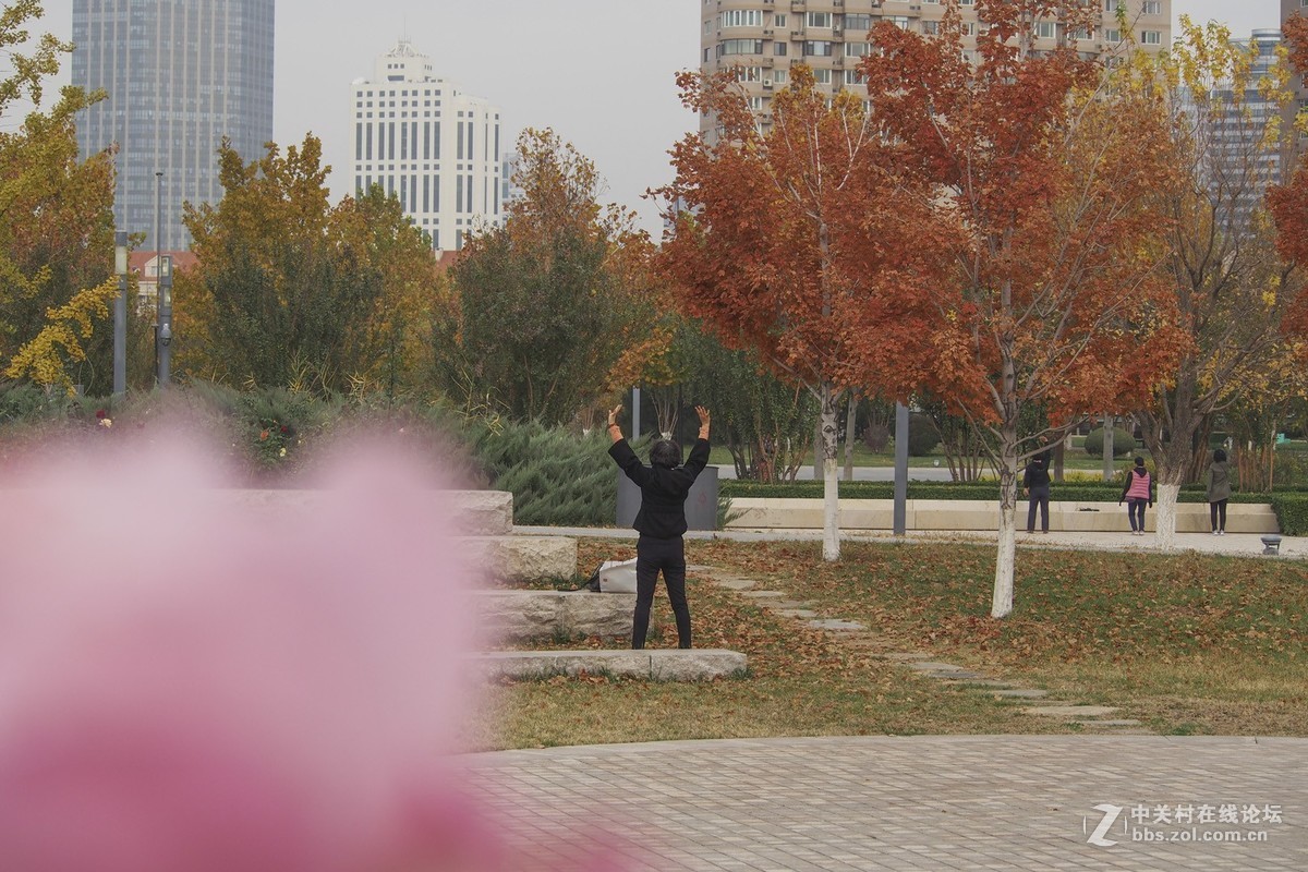 试花520元入手的奥林巴斯40-150mm头。