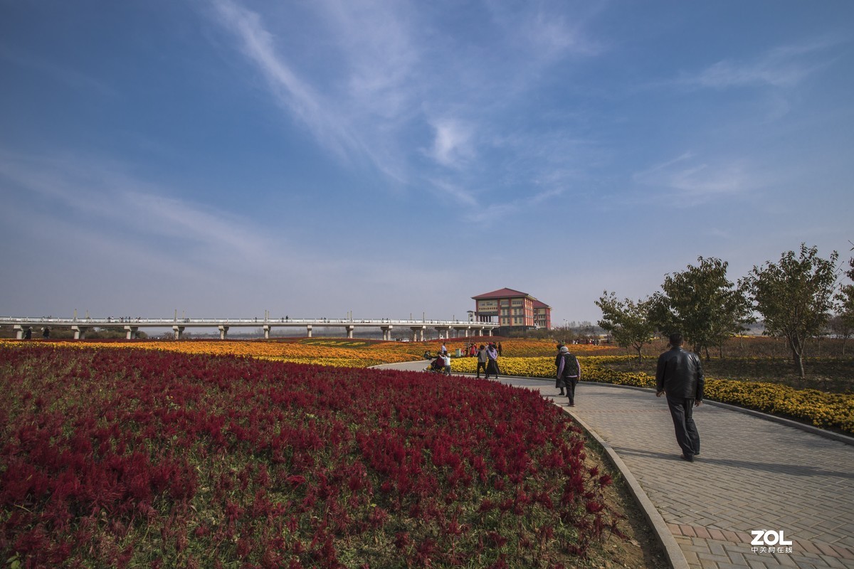 #ZOL月赛晒秋# 银杏湖公园