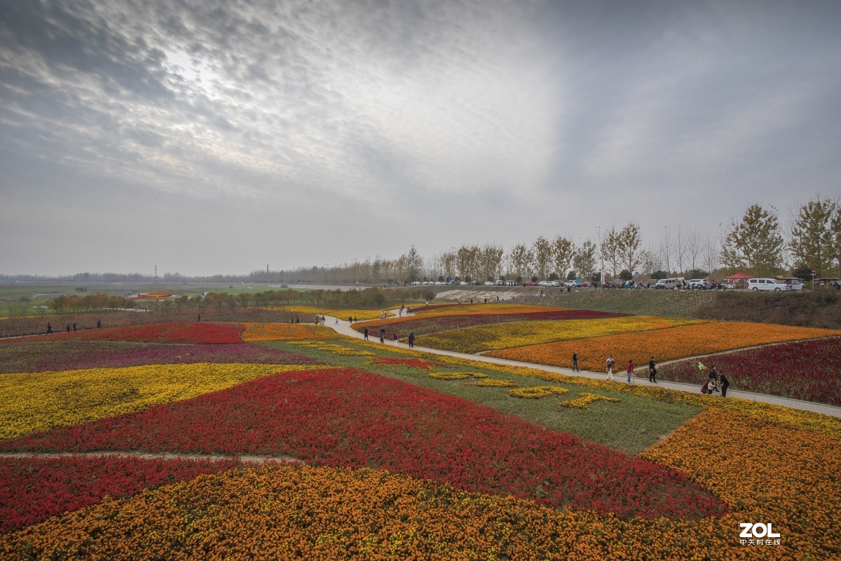 #ZOL月赛晒秋# 银杏湖公园