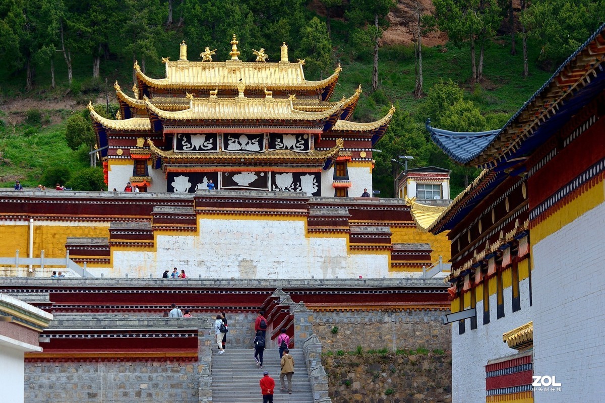 休闲随拍（386）