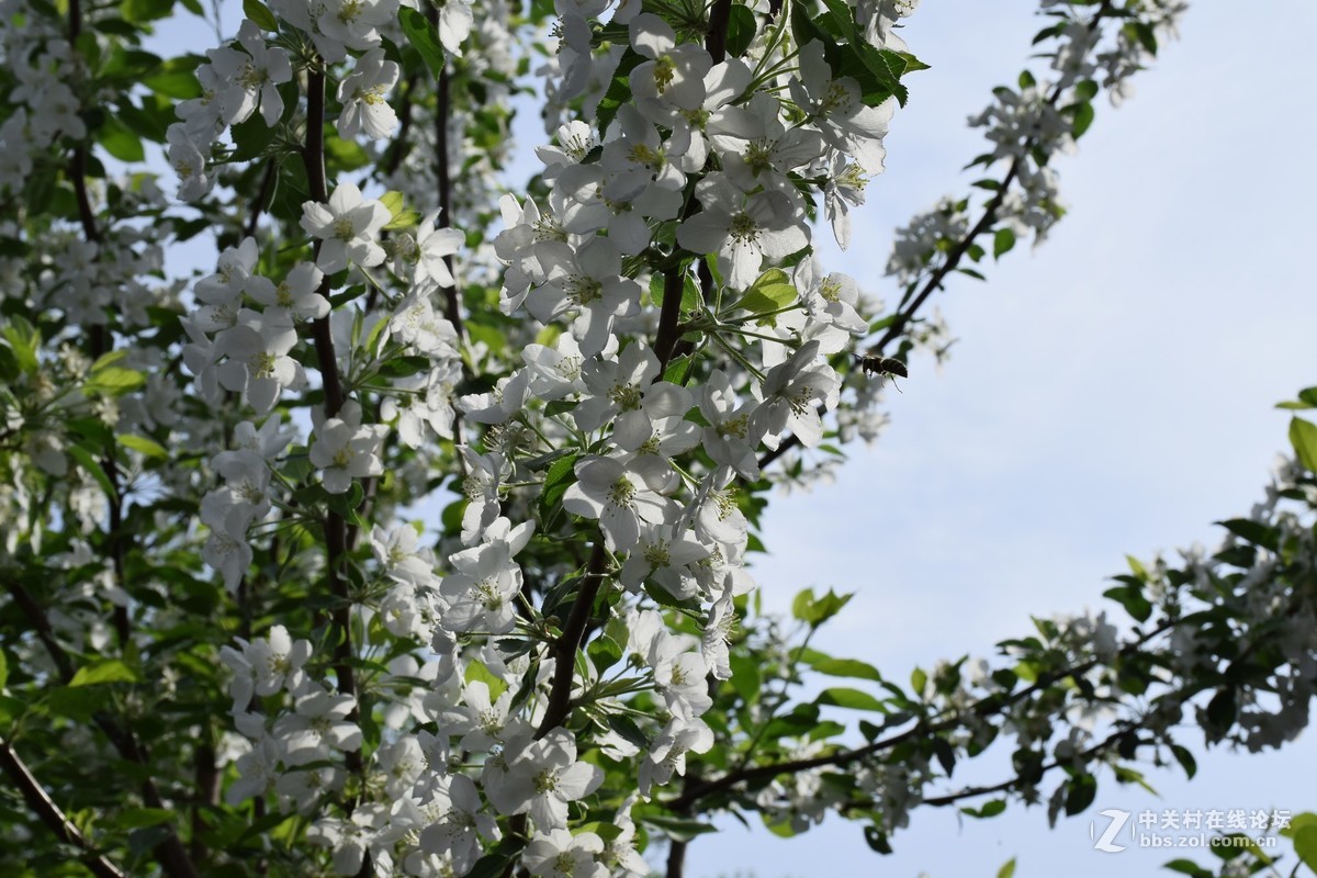 d5300镜头18-140原片没经过修饰