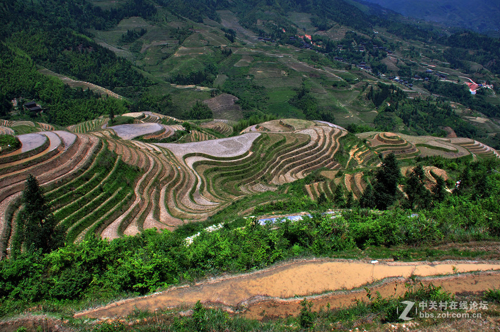 龙脊梯田掠影