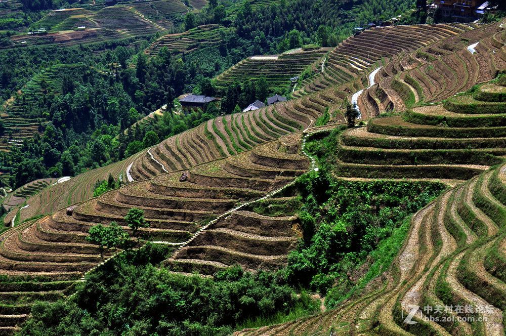 龙脊梯田掠影