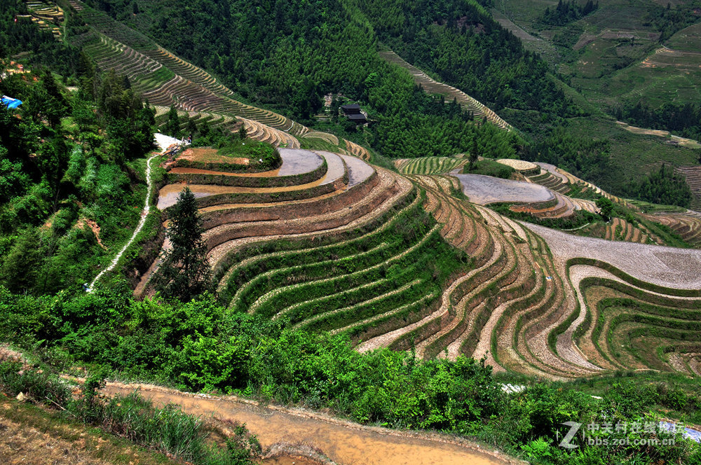 龙脊梯田掠影