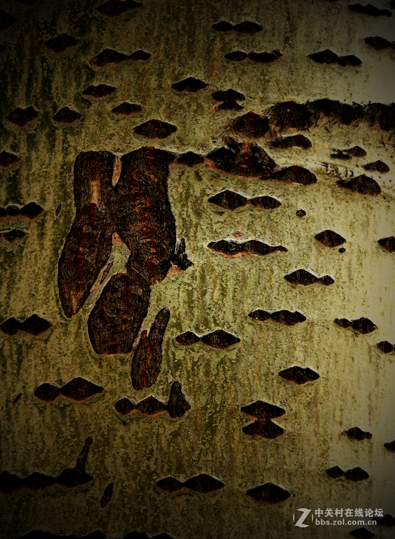 树         1