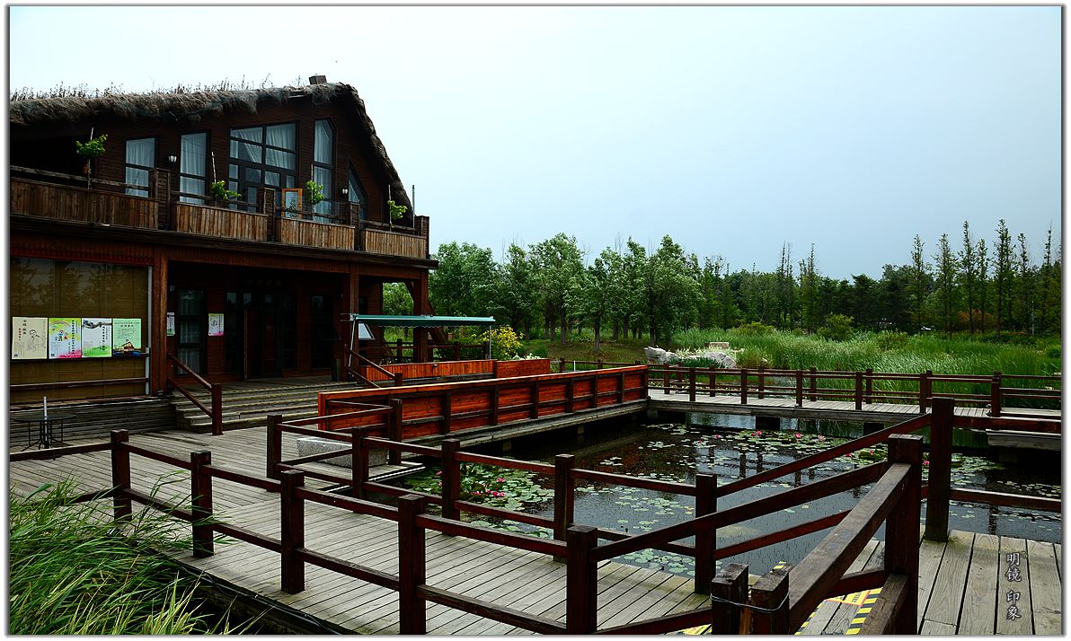 公园走走 拍 盛夏小景。