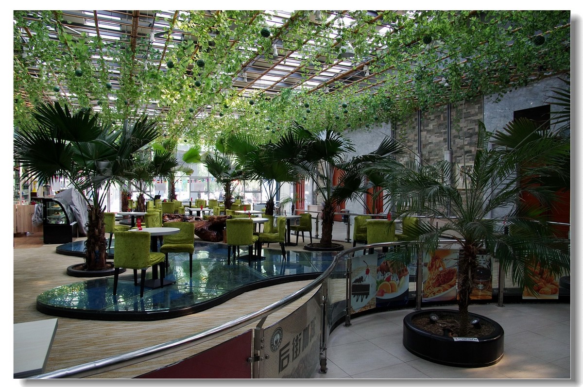 创客少年，畅想未来——CYS少年科学家比赛实况