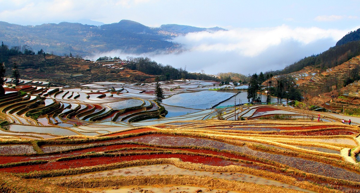 元阳梯田