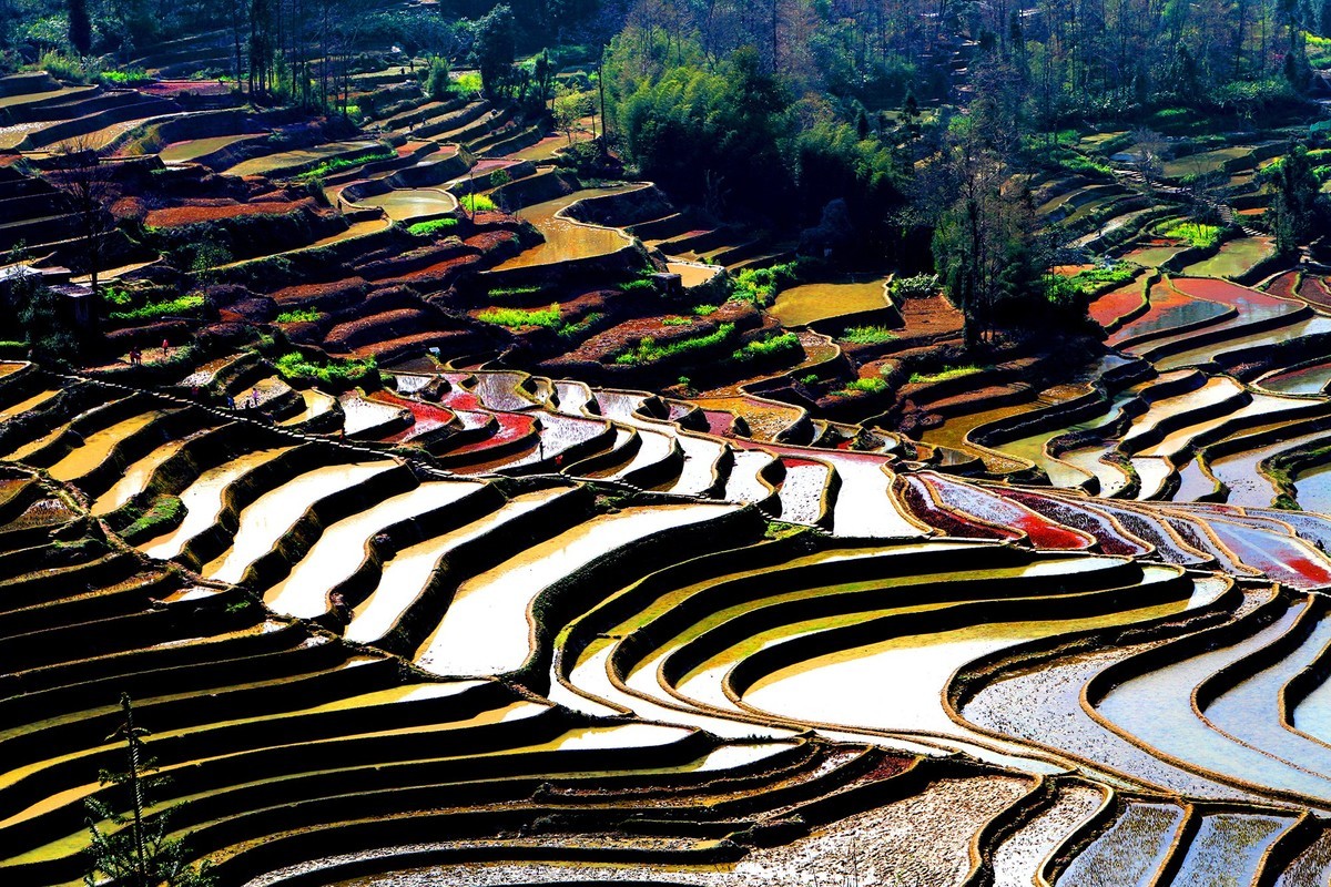 元阳梯田