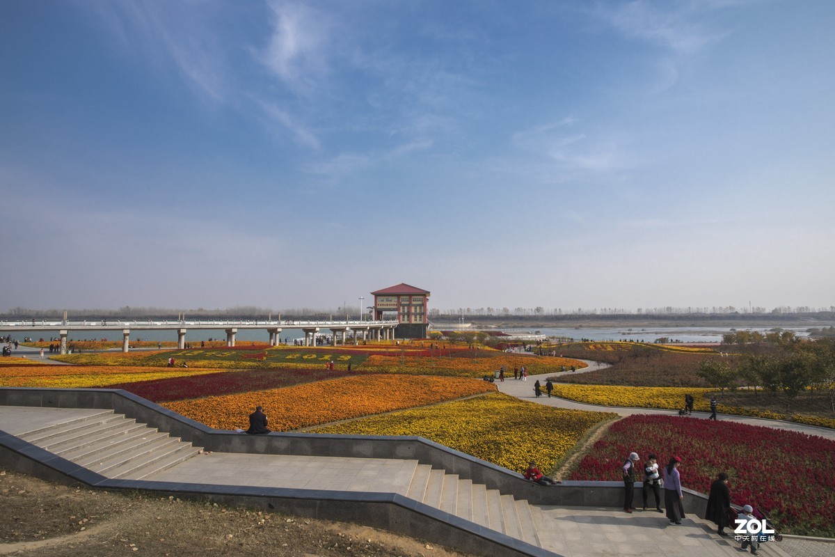 #ZOL月赛晒秋# 银杏湖公园