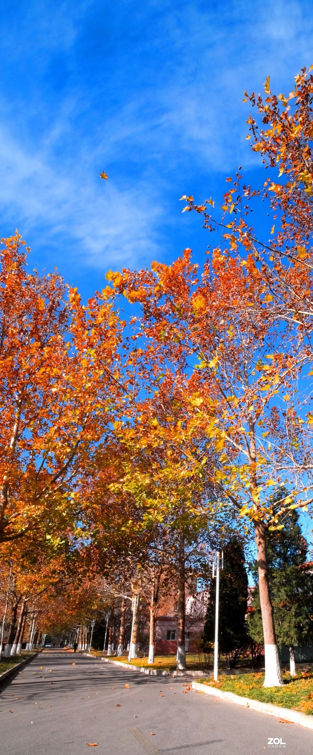 老蛙 9mm f2.8 镜头试镜随拍