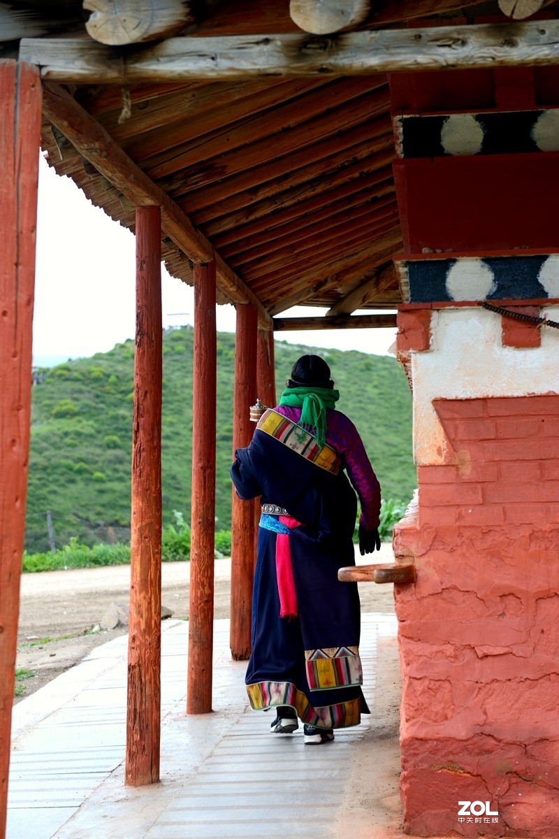 休闲随拍（386）