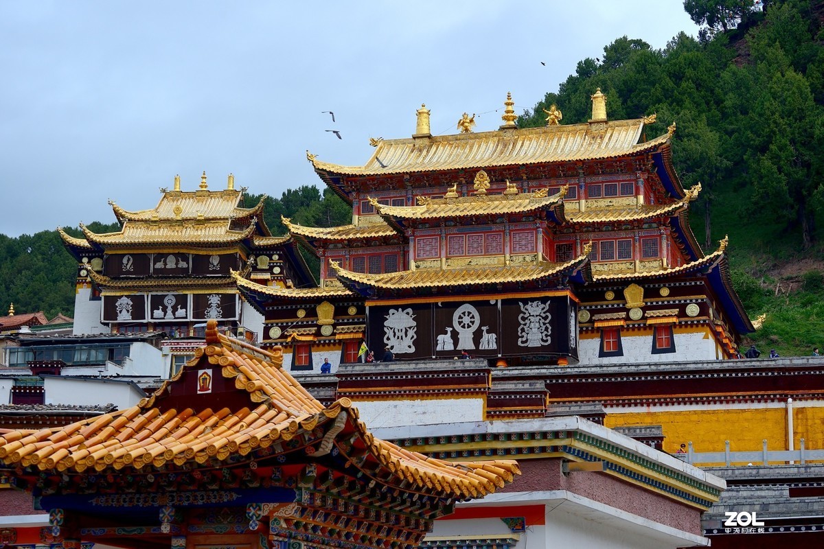 休闲随拍（386）