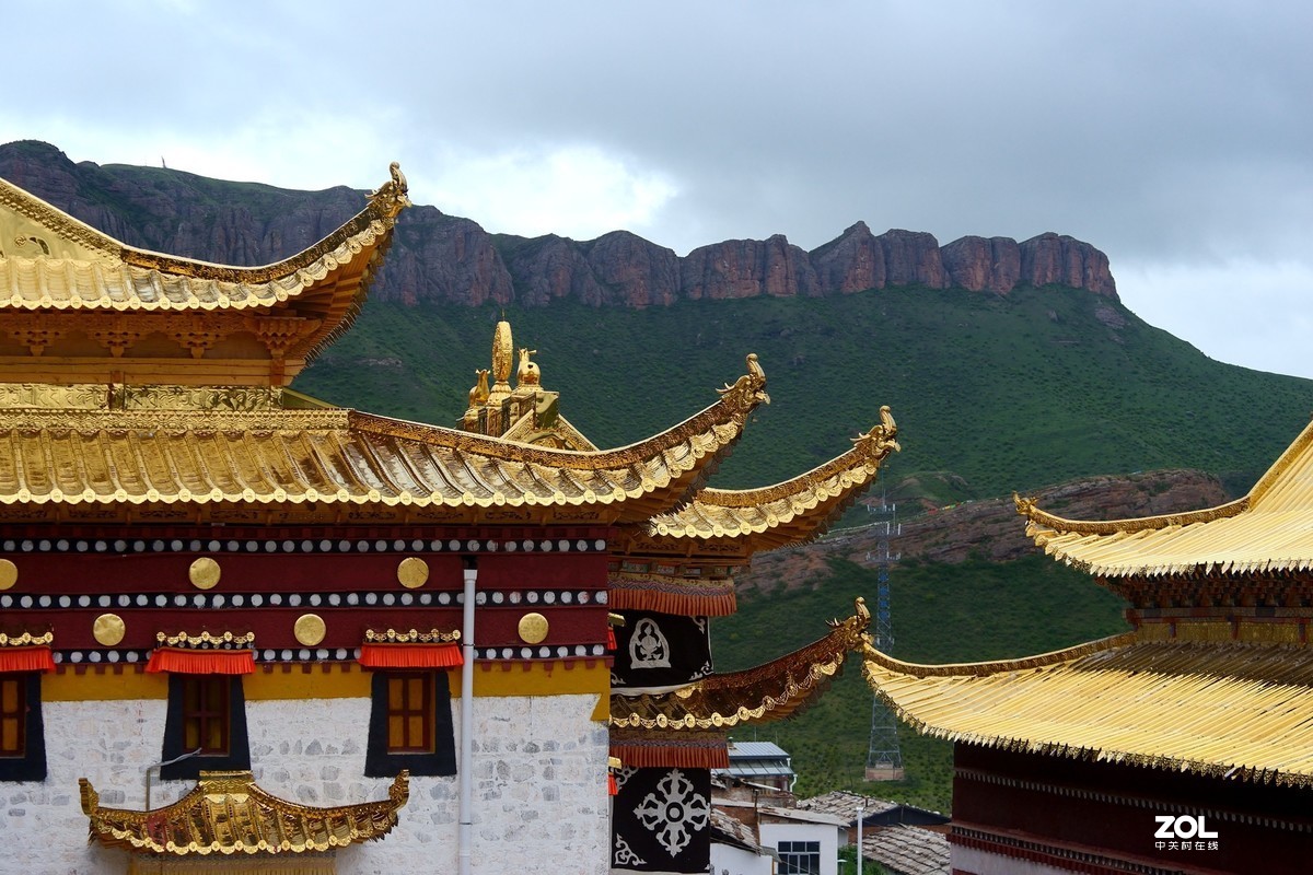 休闲随拍（386）