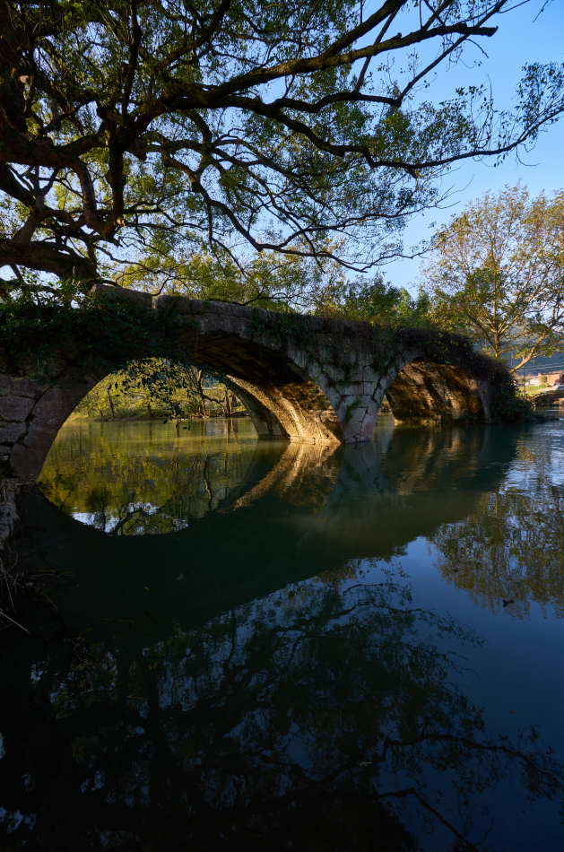 古桥和老树-中关村在线摄影论坛