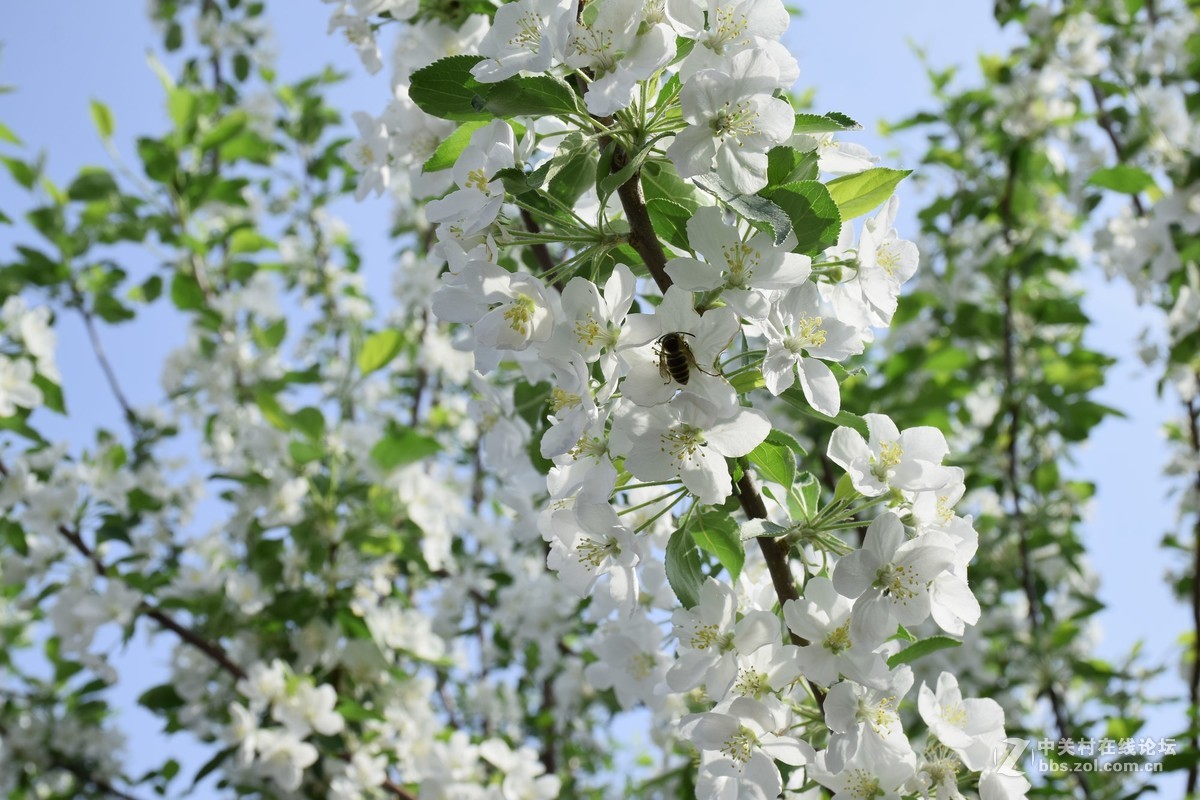 d5300镜头18-140原片没经过修饰