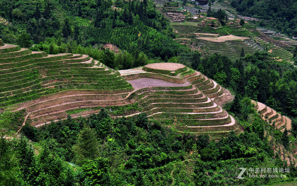 龙脊梯田掠影