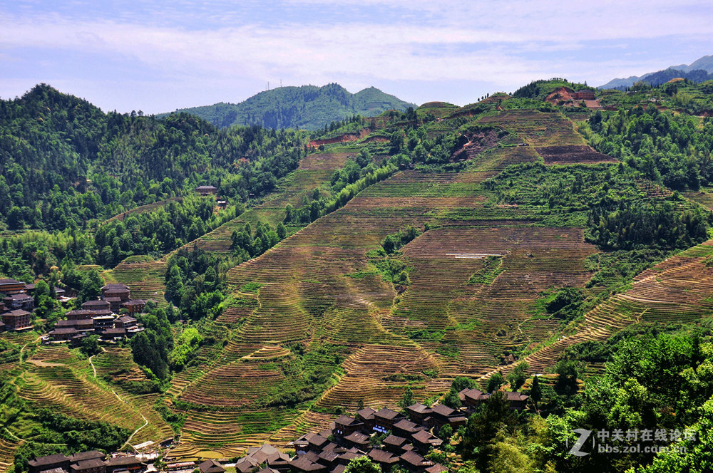 龙脊梯田掠影