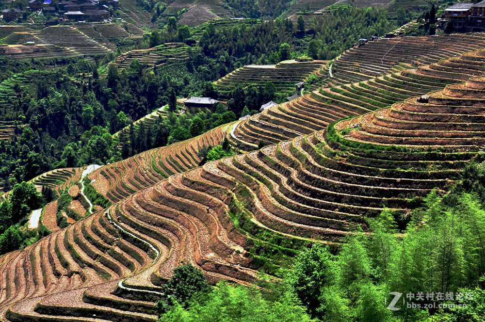 龙脊梯田掠影
