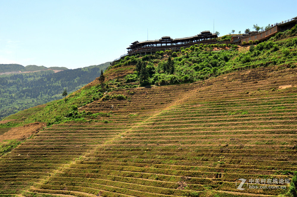 龙脊梯田掠影