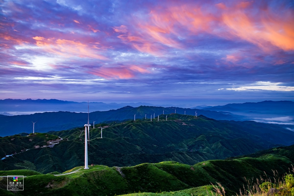 十里坪坦朝阳红