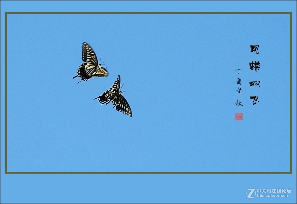 #版主坐堂# 小五星空(中国)2017年十月精品荟萃