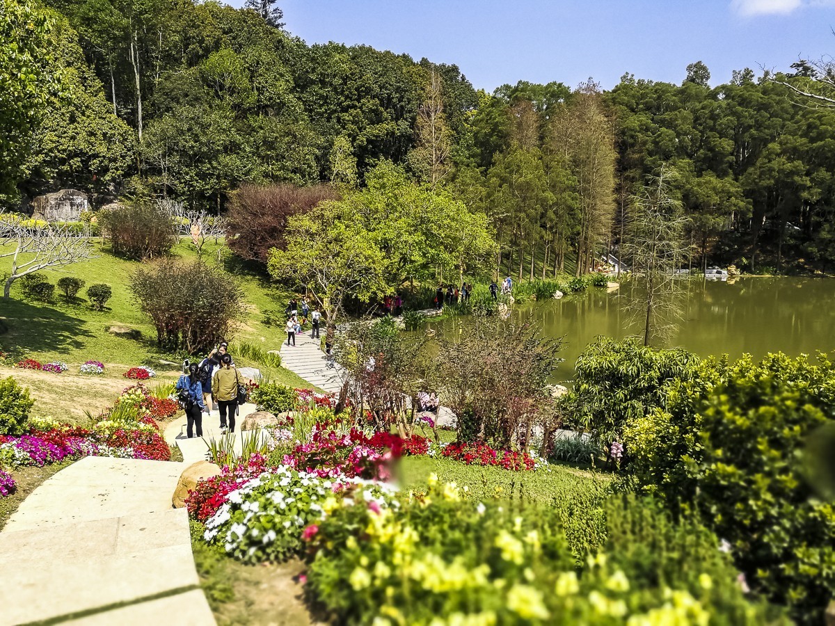 深圳仙湖植物園 ~ 掠影