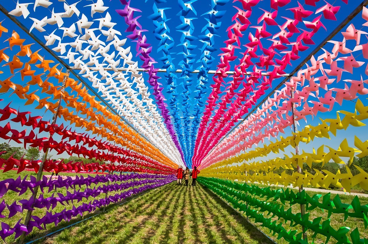 20180418扬州芍药园风车节二