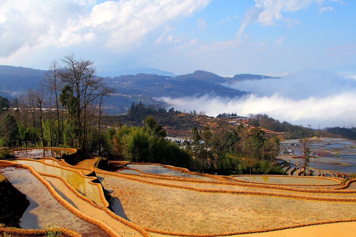 元阳梯田