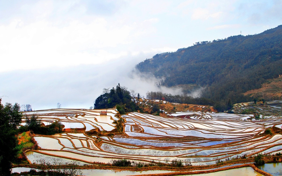 元阳梯田