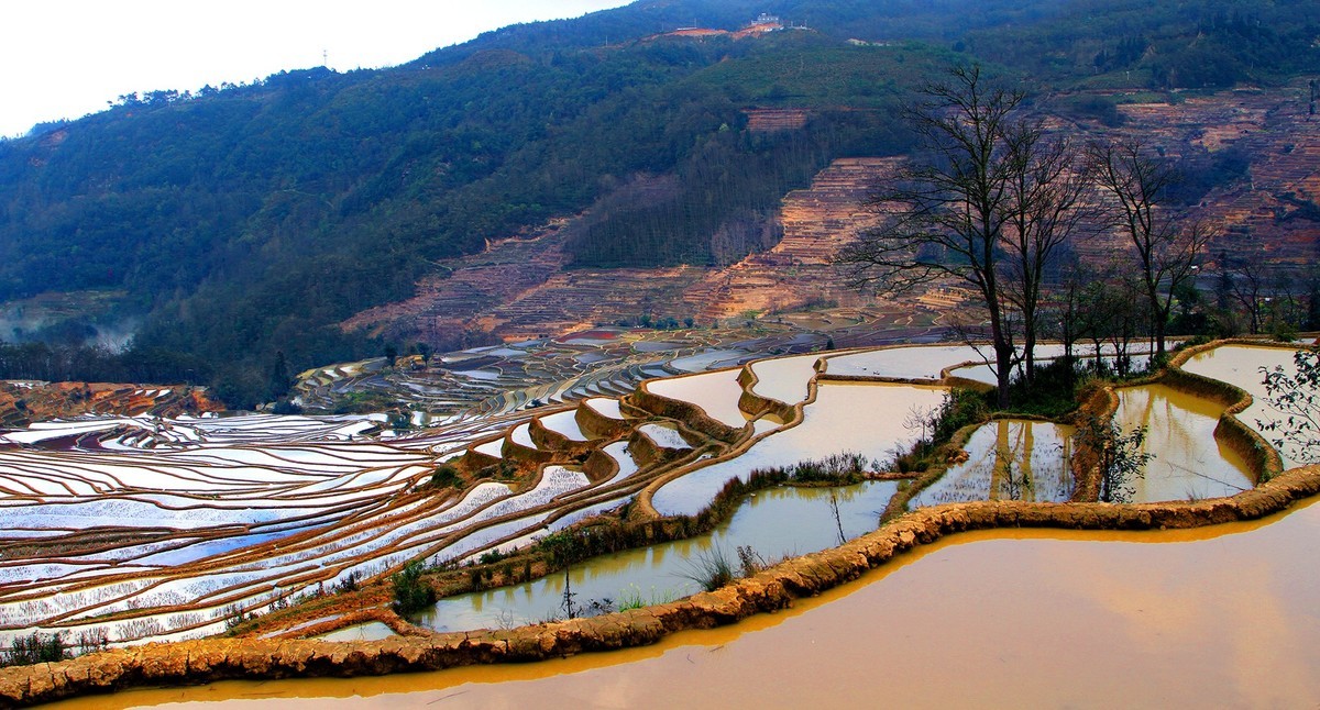 元阳梯田