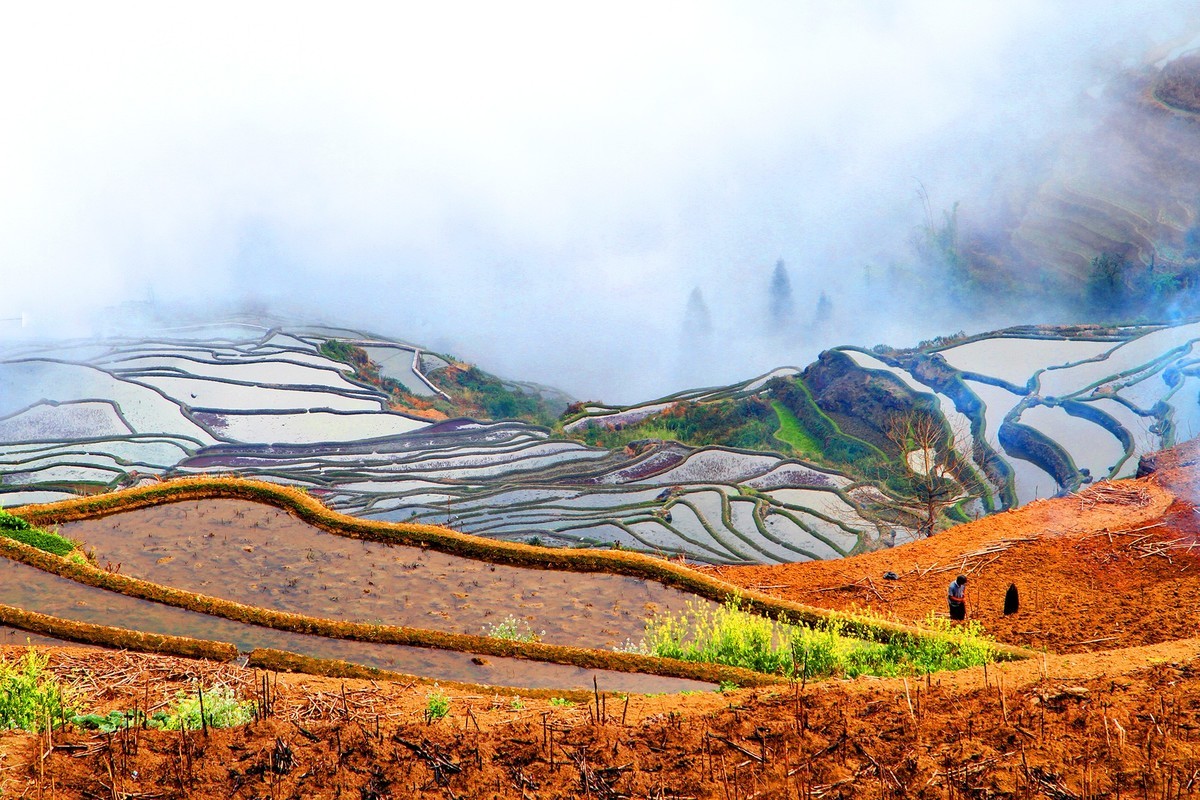 元阳梯田