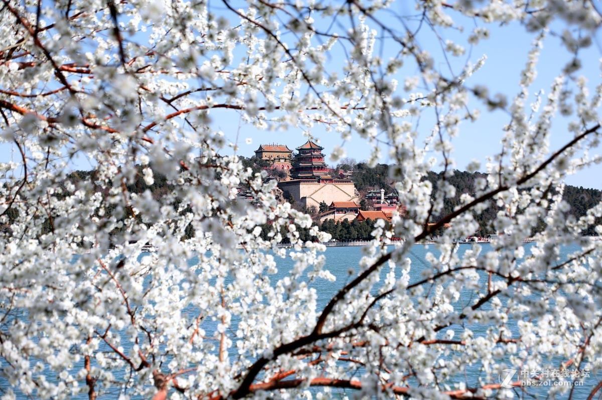 颐和园西堤春光