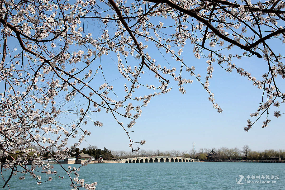 颐和园西堤春光