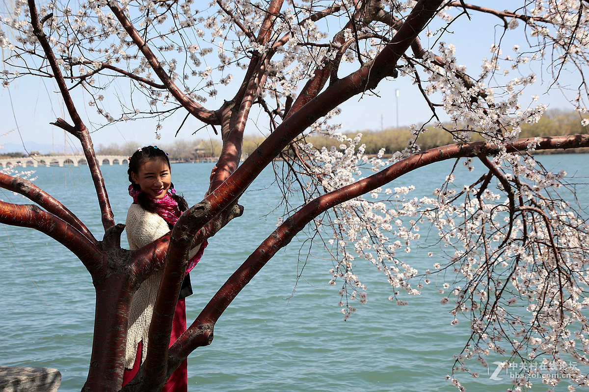 颐和园西堤春光