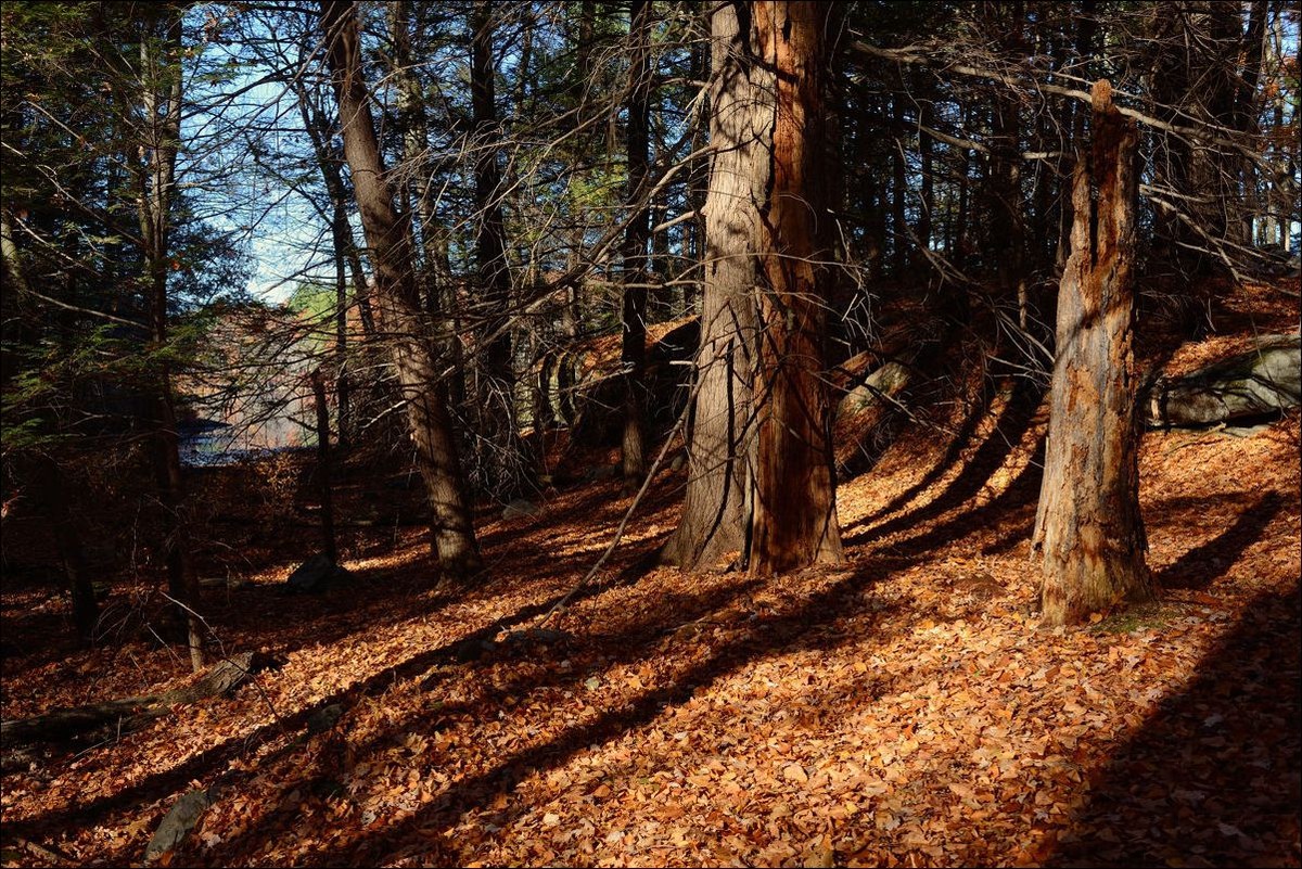 休闲随拍（262）