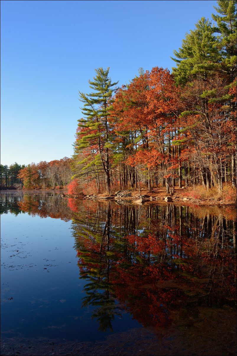 休闲随拍（262）