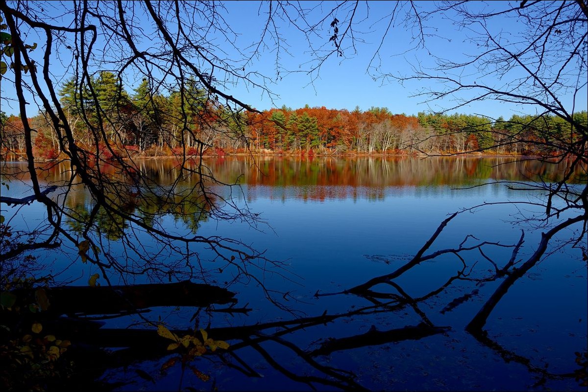 休闲随拍（262）