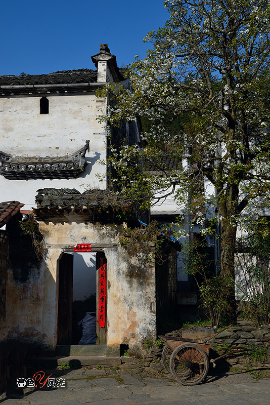 婺源的老宅！