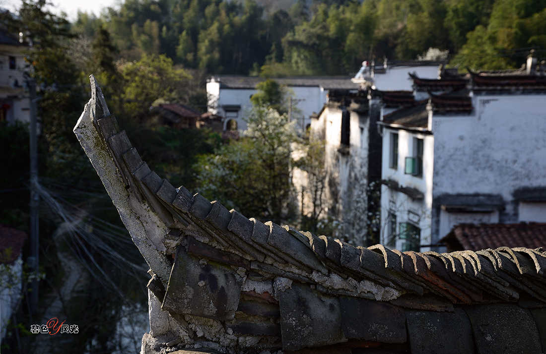 婺源的老宅！
