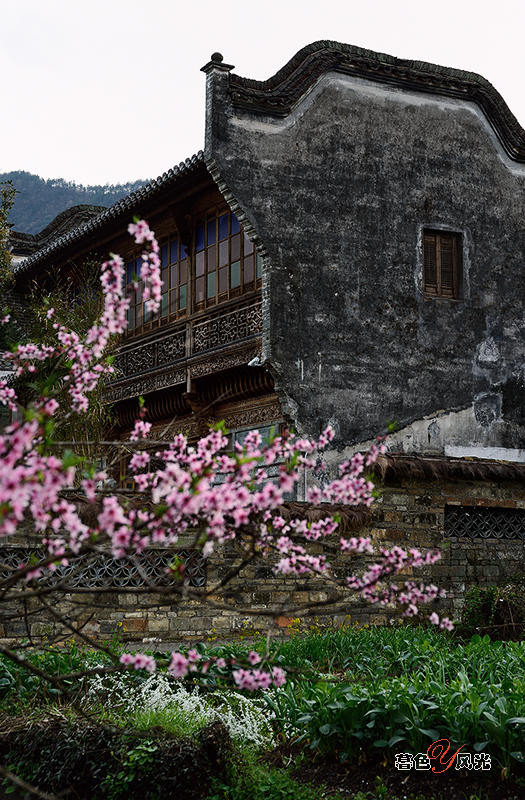 婺源的老宅！