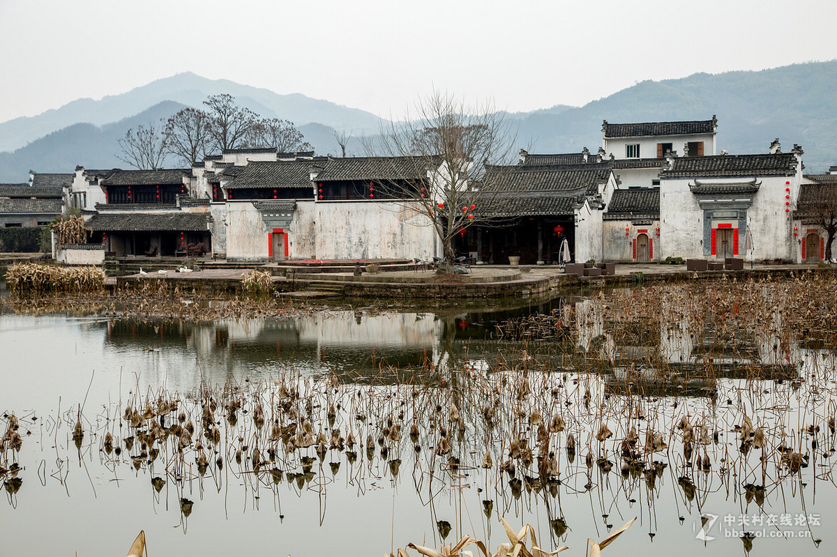 游呈坎古村 品地道年味