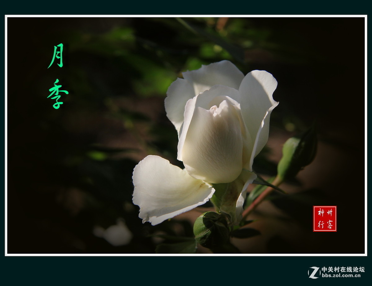 #版主坐堂#小五星空(中国)2017年6月精品荟萃