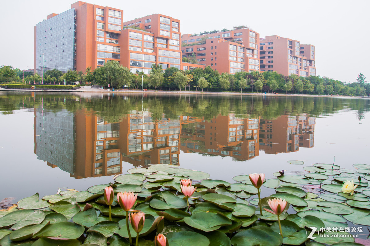 #版主坐堂#小五星空(中国)2017年6月精品荟萃