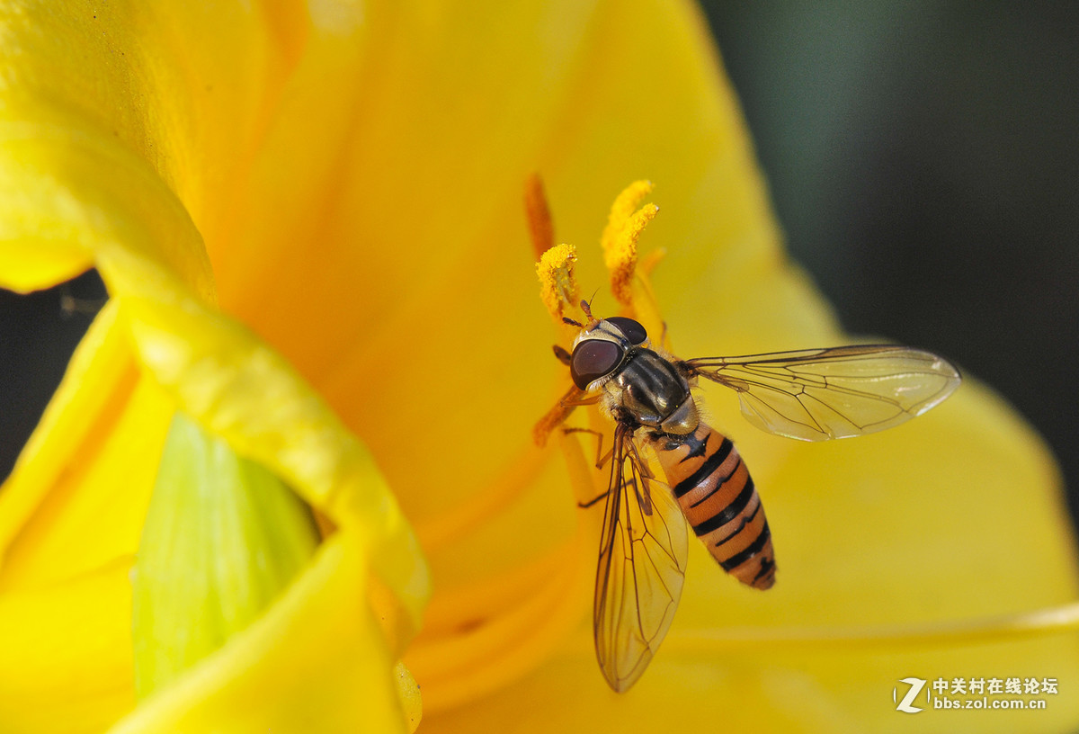 #版主坐堂#小五星空(中国)2017年6月精品荟萃