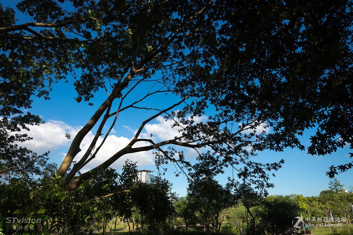 深圳最美公园--香蜜公园（D7200+16-85mm镜头）