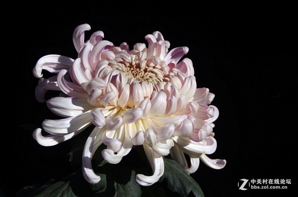 #版主坐堂# 小五星空(中国)2017年十月精品荟萃