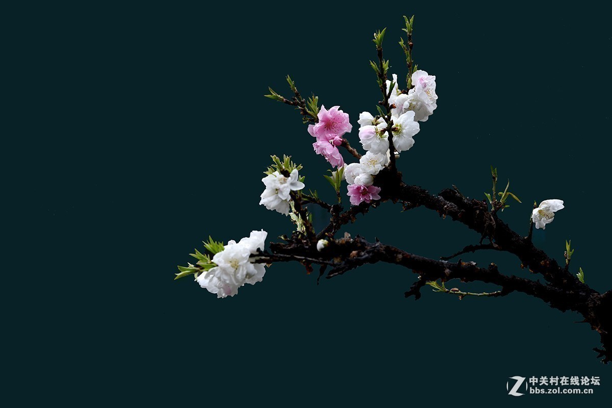 #版主坐堂# 小五星空(中国)2017年十月精品荟萃