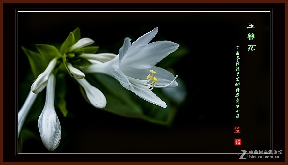 #版主坐堂# 小五星空(中国)2017年十月精品荟萃